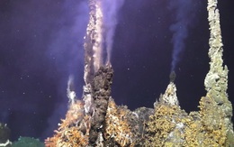 Mỹ: Núi lửa dưới biển có dấu hiệu sắp phun trào