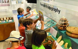 Nếu nghệ thuật và nhân văn bị rút nguồn sống...