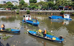 Cá chết nổi lềnh bềnh trên kênh Nhiêu Lộc - Thị Nghè, công nhân môi trường tất bật thu gom