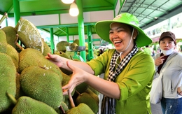 Lễ hội trái cây Nam Bộ quy tụ hàng trăm loại trái cây đặc sắc, hút khách ngay ngày 1-6