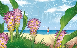 Chuyện cậu bé thích nghỉ hè ở thành phố