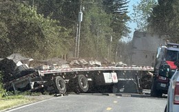 Lật xe khiến 250 triệu con ong 'vỡ tổ', cảnh sát phải trốn trong xe