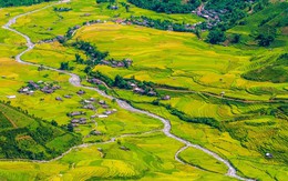 Lào Cai - Yên Bái sáp nhập, đã Sa Pa còn thêm Mù Cang Chải, đẹp ai chịu nổi?!