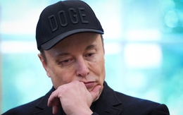 Elon Musk đang phải trả giá đắt cho mối quan hệ với ông Trump
