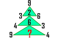 Hai câu đố kiểm tra IQ