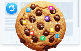 Cookie là gì mà web nào cũng hỏi? Và vì sao bạn nên quan tâm?