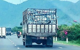 Vụ bán tài sản cưỡng chế ở Nha Trang: Chuyển đơn qua Văn phòng Cơ quan cảnh sát điều tra