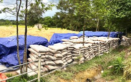 Để hàng trăm tấn xi măng ngoài trời gây hư hỏng: Chủ tịch xã bị điều tra về hành vi gì?