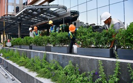 Tiền đất bổ sung: 'Lãi phạt' đè lên vai người mua nhà