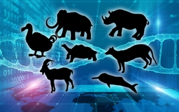 Hồi sinh động vật tuyệt chủng:  Ảo mộng và triển vọng