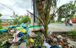 Nhiều nhà chờ xe buýt bị bỏ bê