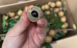 Trái nhãn vào mùa, vừa tăng cường miễn dịch vừa hỗ trợ hệ tim mạch