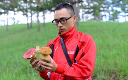 Đà Lạt vừa vào mùa hái 'lộc trời', nhiều người phải nhập viện