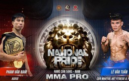 Lê Văn Tuần thách thức đai vô địch của Phạm Văn Nam