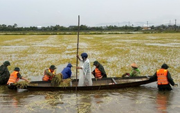 Thời tiết hôm nay 14-6: Miền Trung nắng lại sau mưa bão, miền Bắc mưa rào