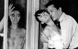 Chiếu kiệt tác của điện ảnh Hàn Quốc ở Đà Nẵng