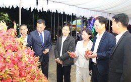 Xây dựng thương hiệu ‘Thanh long Sơn La’