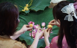 Công phu trà sen hồ Tây, nghề có bao điều cấm kỵ