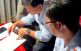 Chở 120 con heo không có giấy kiểm dịch từ Cần Thơ về Bạc Liêu tiêu thụ