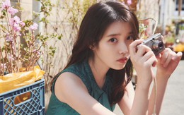 Nghệ sĩ solo thống trị các bảng xếp hạng, thời của nhóm nhạc K-pop đã qua?