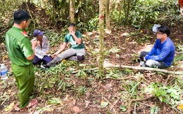 Phát hiện 5 người chặt phá cây rừng ở Phú Quốc