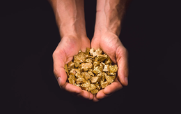 Có bao nhiêu vàng trên thế giới?