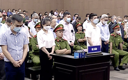 Tuyên án phúc thẩm vụ 'chuyến bay giải cứu' giai đoạn 2