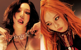 Bộ ảnh táo bạo hiếm thấy của 2 nữ thần aespa bị phản ứng mạnh