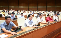 Doanh nghiệp thành lập từ 1-7 phải công bố thông tin chủ sở hữu hưởng lợi