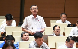 Đại biểu nêu nghịch lý chuyện đi làm thủ tục, phòng này yêu cầu, phòng khác nói 'không có'