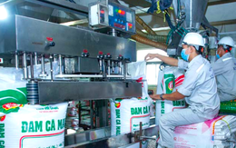 'Ông lớn' chiếm gần 11% thị trường phân bón dự đoán giá sẽ tiếp tục tăng