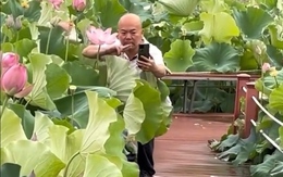 'Gần mực thì đen, gần thiên nhiên thì thư giãn'