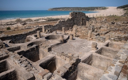 Người cổ đại đã có quán thức ăn nhanh, phục vụ món gì mà có cả xương chim họa mi?