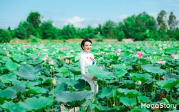 Về xứ sở sen hồng trải nghiệm du lịch xanh, an lành