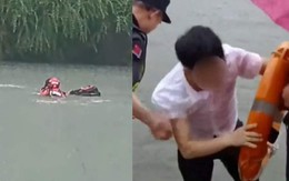 Taxi lao xuống hồ, hành khách bơi vào bờ… để kịp phỏng vấn xin việc