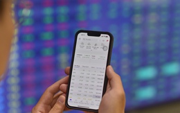 Vietcap bị đình chỉ lưu ký chứng khoán 3 ngày, VNDirect bị khiển trách