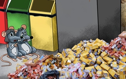 Thực phẩm chức năng dỏm: Từ hào quang đến bãi rác!