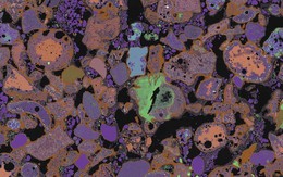 Các nhà khoa học kinh ngạc khi rác thải hóa đá chỉ sau 40 năm