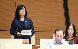 Bộ trưởng Đào Hồng Lan: Kiểm tra 354.000 cơ sở, phát hiện 22.073 cơ sở vi phạm về an toàn thực phẩm