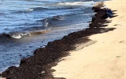 Hàng trăm tấn rác thải bao vây 2 bãi biển nổi tiếng nhất Quảng Bình