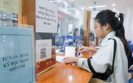 Mất việc ở tuổi 40: Khi sự ổn định trở thành chiếc 'bẫy ngọt ngào'