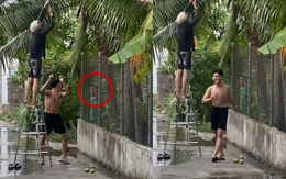 Hai thanh niên trộm xoài ngượng đỏ mặt khi bị hàng xóm bắt quả tang