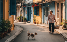 Từ 'tối lửa tắt đèn có nhau' đến mất lòng nhau vì chuyện tiểu tiện của chó