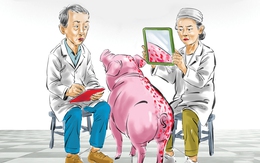 Triết lý mới của ngành kiểm dịch thú y: Hai mặt của một vấn đề