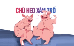 Chú heo xăm trổ gì khiến bạn cùng chuồng ngưỡng mộ?