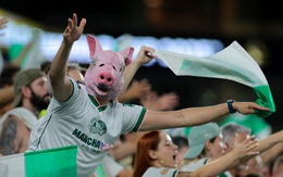 Câu chuyện fan Palmeiras tự hào gọi nhau là… ‘lũ heo’