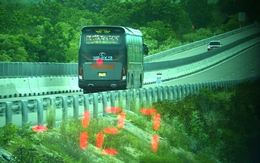 Tài xế xe giường nằm lao 127km/h trên cao tốc Cam Lâm - Vĩnh Hảo