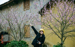 Cao nguyên đá Đồng Văn, mỗi phiến đá một bản tình ca