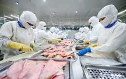 Cá tra Việt Nam nhận tin vui lớn từ Mỹ