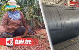 Điểm tin 8h: Giá cà phê bất ngờ bật tăng; Nhập khẩu thép HRC khổ rộng từ Trung Quốc tăng sốc